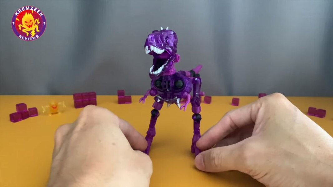 purple paleotrex